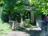 l'atelier d'�t� sous les bambous