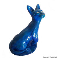 chat sphynx bleu