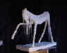 Cheval Nu