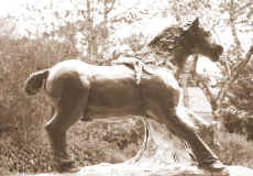 Le cheval et la jeune fille