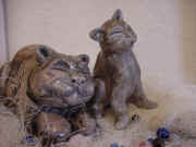 Matou et chat grognon