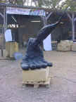 Le Pied de Louis
