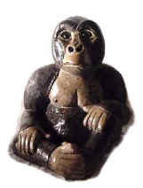 Gorilla gorilla