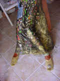 DSC00135.JPG (84563 octets)