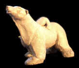 Maman ours blanc