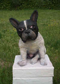 Portrait de bouledogue fran�ais