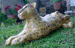 DSC00004.JPG (62069 octets)