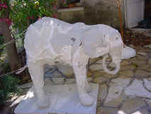 elephant1b.JPG (62432 octets)