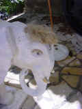 pulpoc