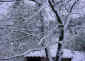 la Provence sous la neige... 