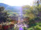 Vue de Signes