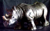 Mossieur Rhino