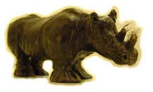 Rhinoc�ros