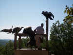 le Rocher des Aigles