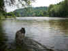 la Dordogne