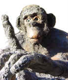 Socrate