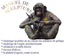 Manuel de sculpture