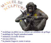 Manuel de sculpture