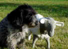 Nena et Balyette