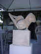 envol