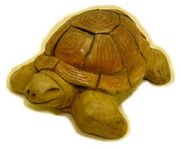Dame Tortue