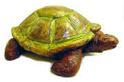 Dame Tortue (2)