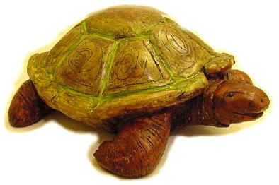 Dame Tortue (2)