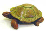 dame tortue