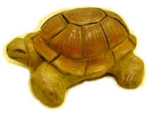 Dame Tortue
